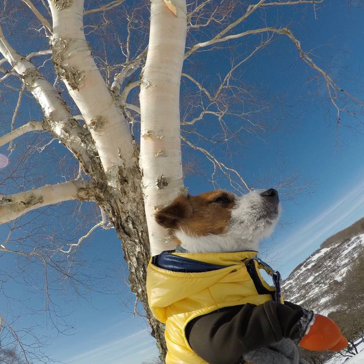 58a57c37 24b3 49f9 ab2c a4b86c68ac71