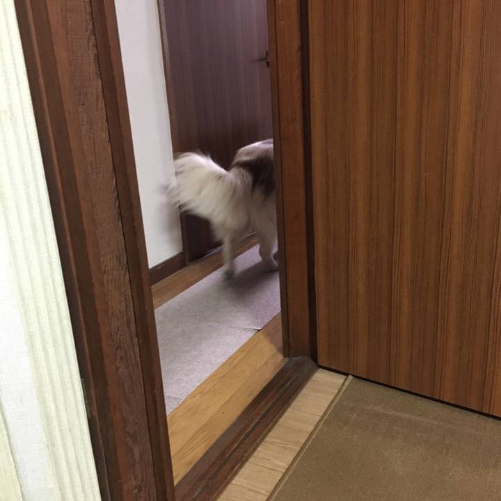 58a58566 46ba 4587 9840 ee80009ad0dc