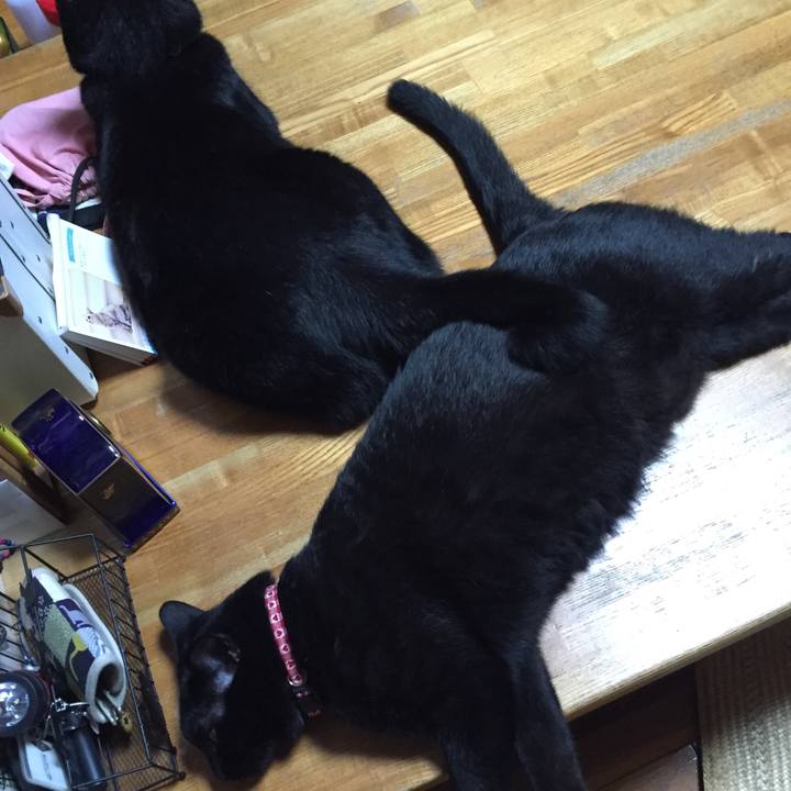 58a58c49 04e4 4601 9587 8e68738fed5b