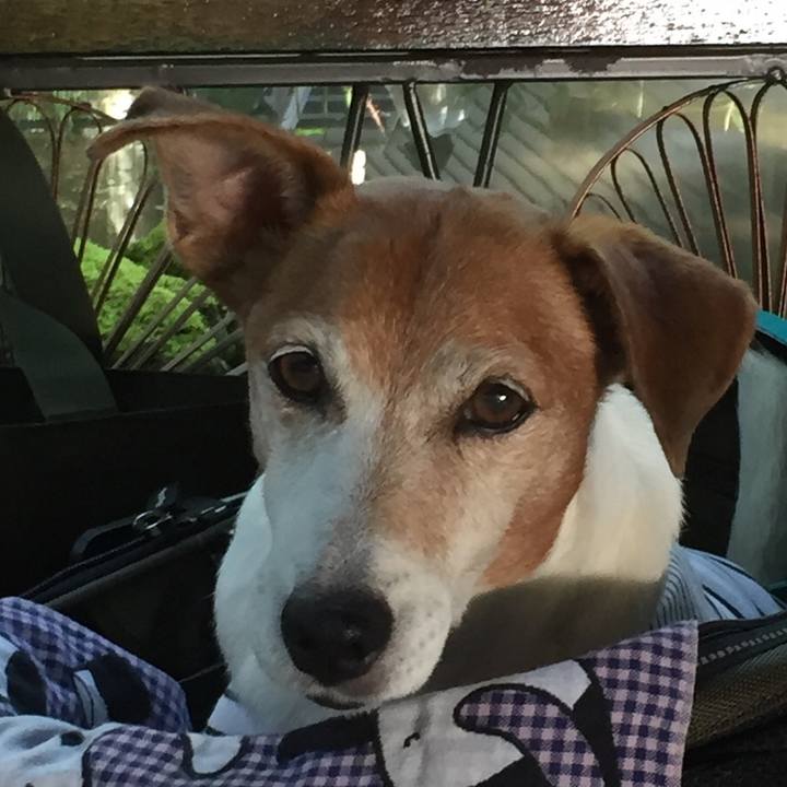 58a5e4f7 129f 4abf 81bb 0238b12ede46