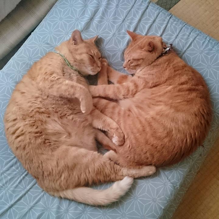 58a61943 bc6b 46df 9a49 c48bb3b1156f