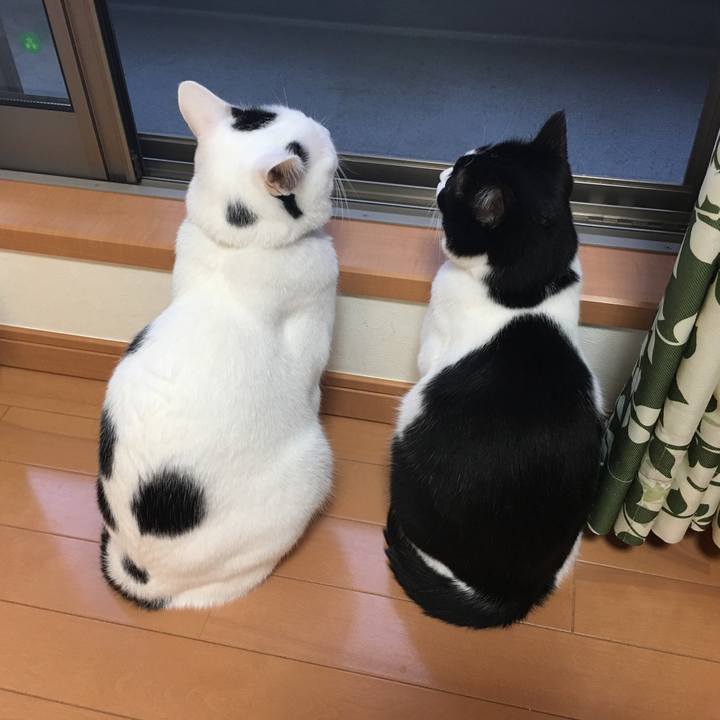 58a640d4 a630 4eeb a966 bb7e6ae3a536