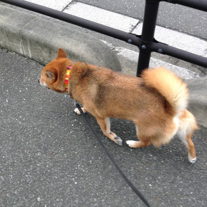 58a64952 230c 401b 885e 04d6990c88e2