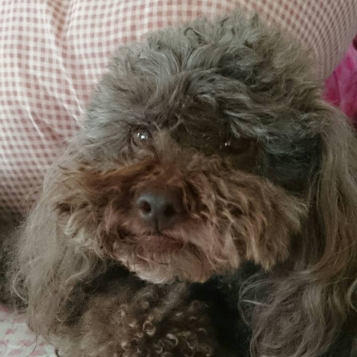 58a722e6 33ef 4f0c 9bbd 415a7c6b71d3