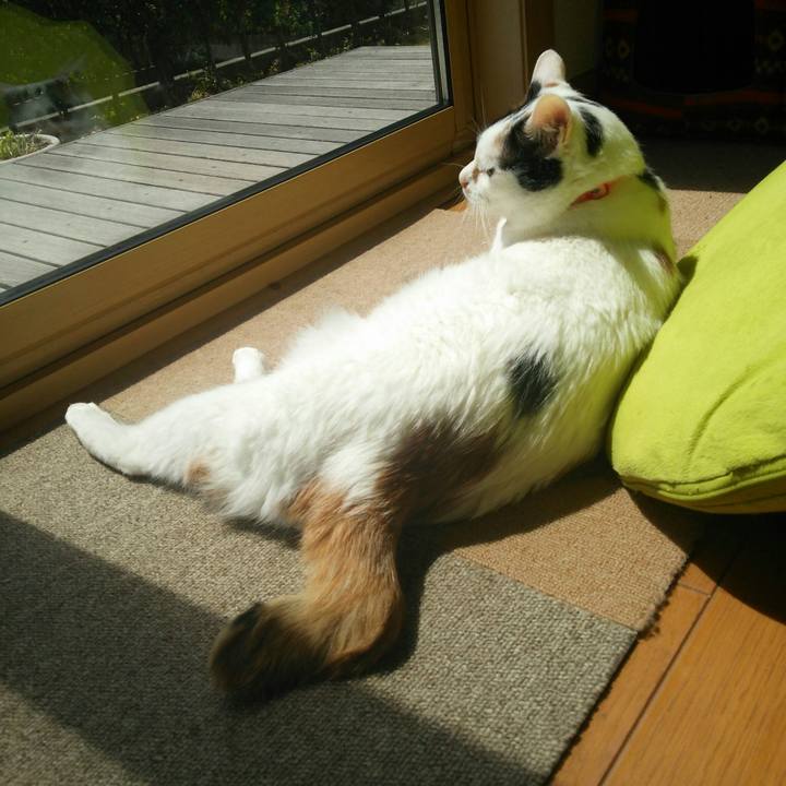 58a7a401 5911 404e 9bf6 79ef7d80a19a