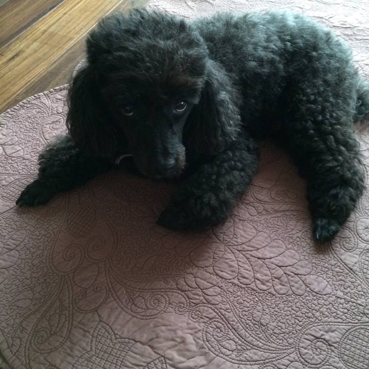 58a81d92 315e 4d98 8356 a854fd45ee4e