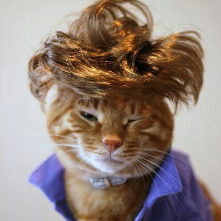 58a85b51 911e 4da5 925b ec5e5faecd1e