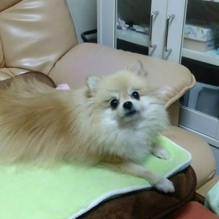 58a87829 5fee 45eb 982d a40a41f3c7de