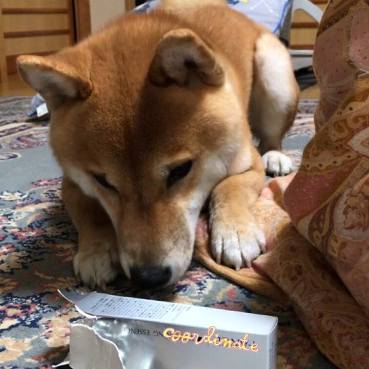 58a93694 2f2f 46fa 89a1 817f90777ba5