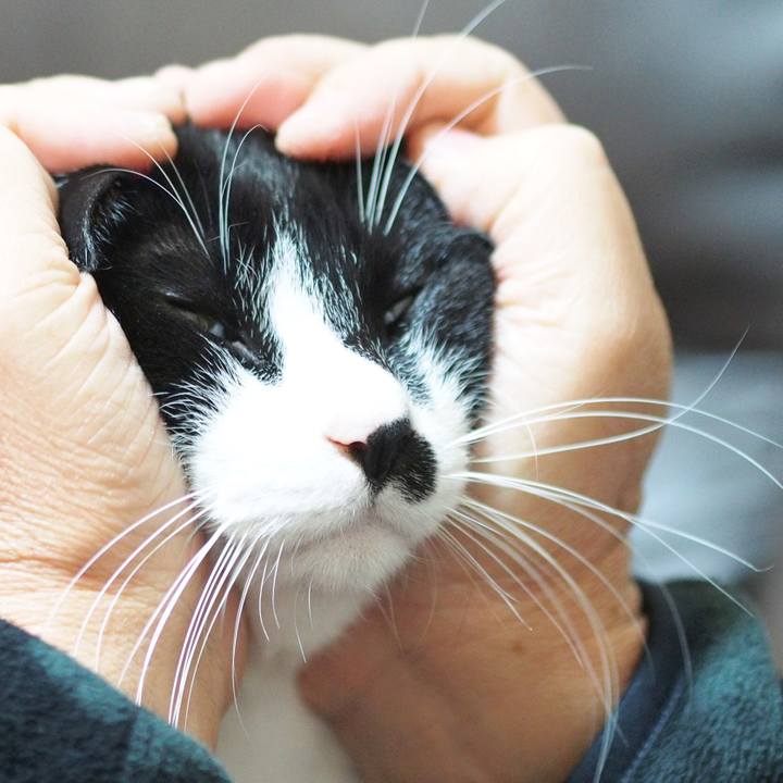 58aa0067 42cb 422d a739 ae96812983e3