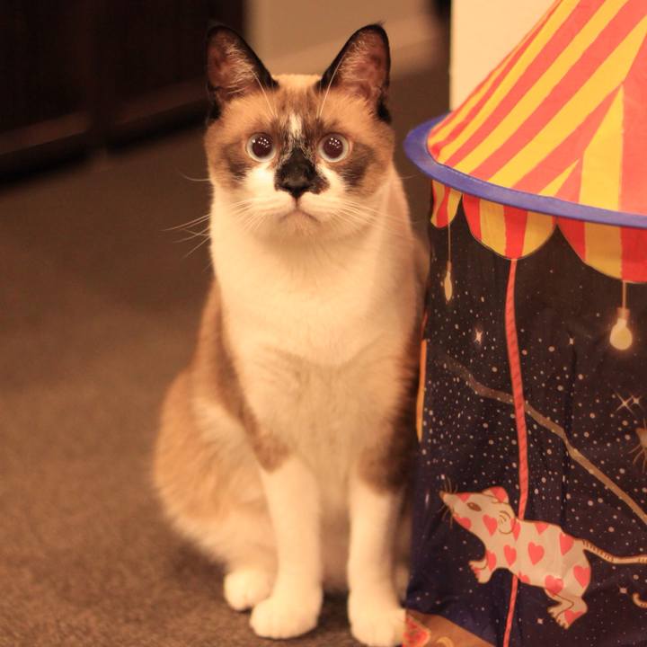 58aa246b 4599 4bdc b4ee 86281c6cb8a9