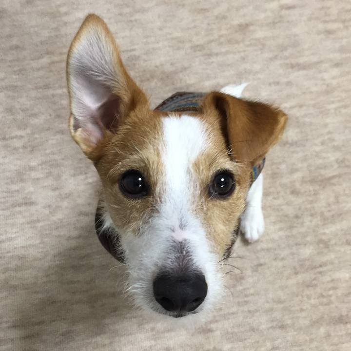 58ab419d 4e39 4a41 b8ca 5c4eed7d1b13