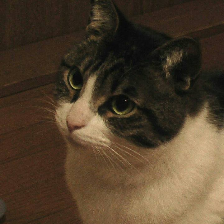 58abd58e 19f3 450f 9be8 3f3093e023f6