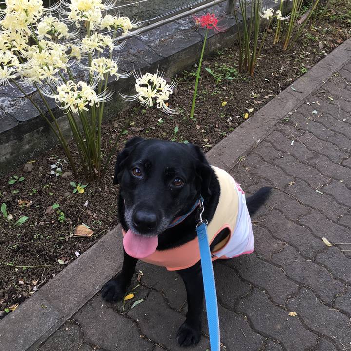 58abdf24 5c43 4e9a b714 4c9d585ed908