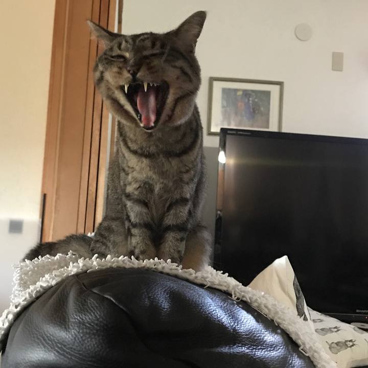 58ac1ce1 3bef 4f94 8a46 8d77641742d8