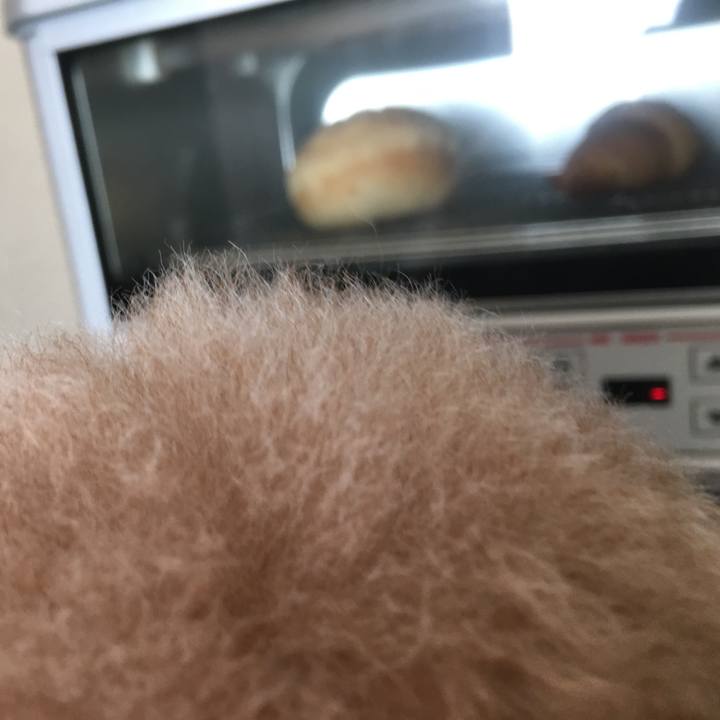 58ac462d 4d83 45d8 b664 2bae22de2473