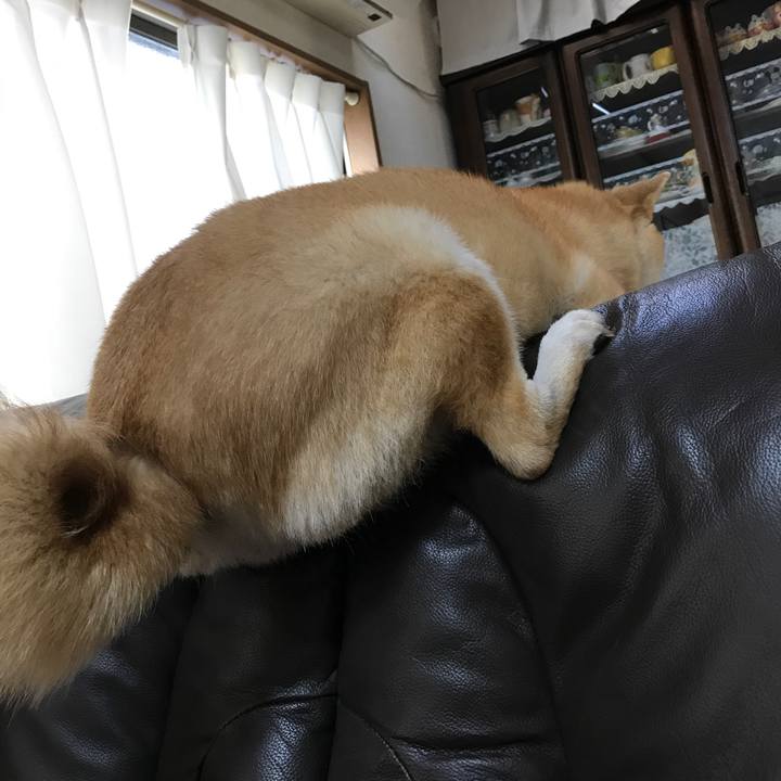 58acae05 1e37 4415 9544 00eaa301daf2