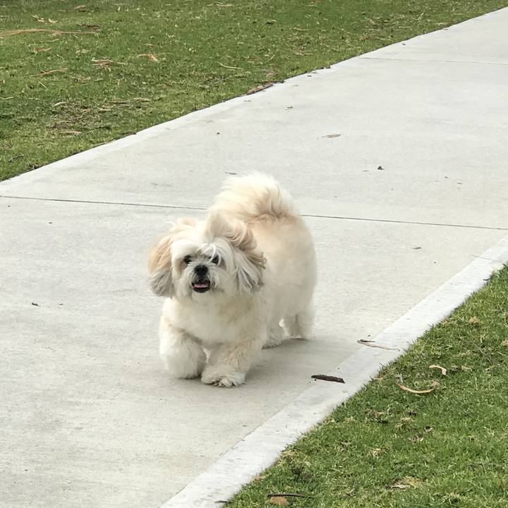 58acb060 2b5c 4bdc 9f3a fbf5e3fdd415