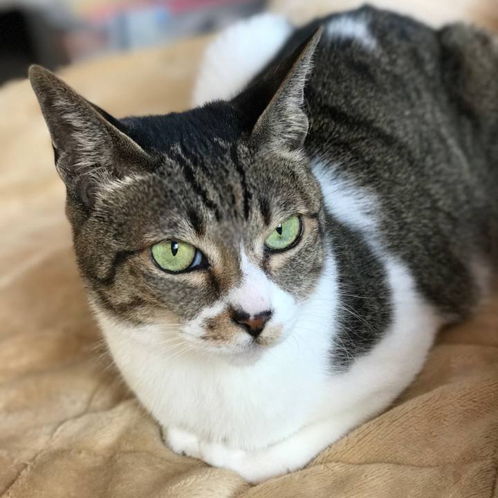 58acf07a 37e5 4394 a7ab dd616e08bf53