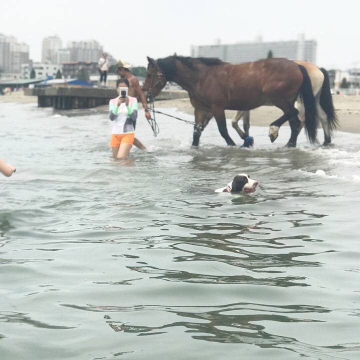 58ad3b40 6b3a 49e9 9d68 ba3f7a132449