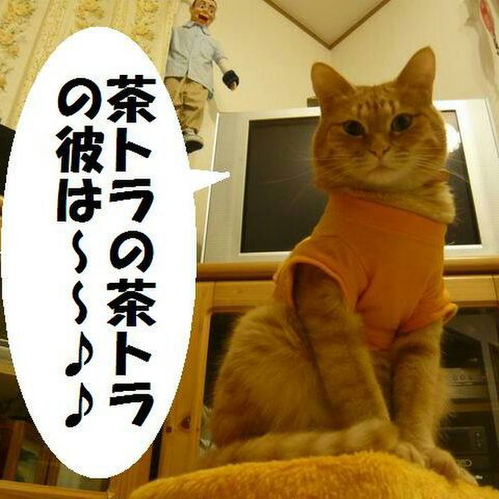 58adfa94 32a3 4f27 b260 e0ecb3952bb1