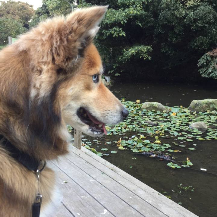 58ae7581 4069 4488 a407 93fb4b7aad07