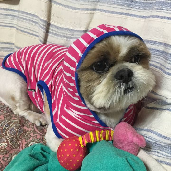 58ae92c8 d5c3 473c bc6d 8378bf755d97