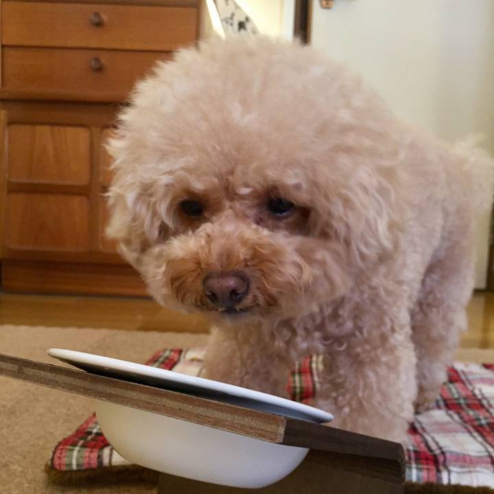 58aeba14 355b 4f68 8832 9a7fb6250d92