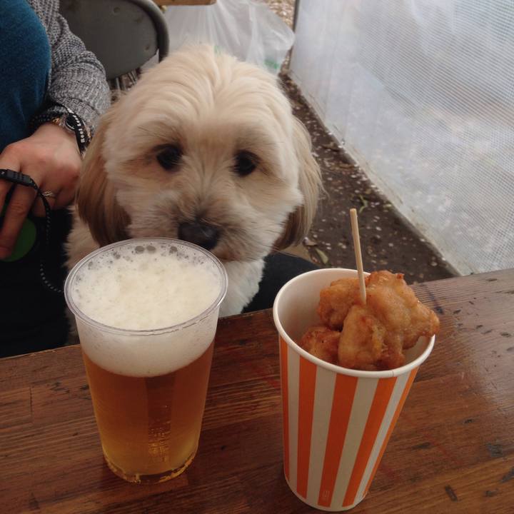 58af1640 1238 4797 88eb 6d11bb5f6042