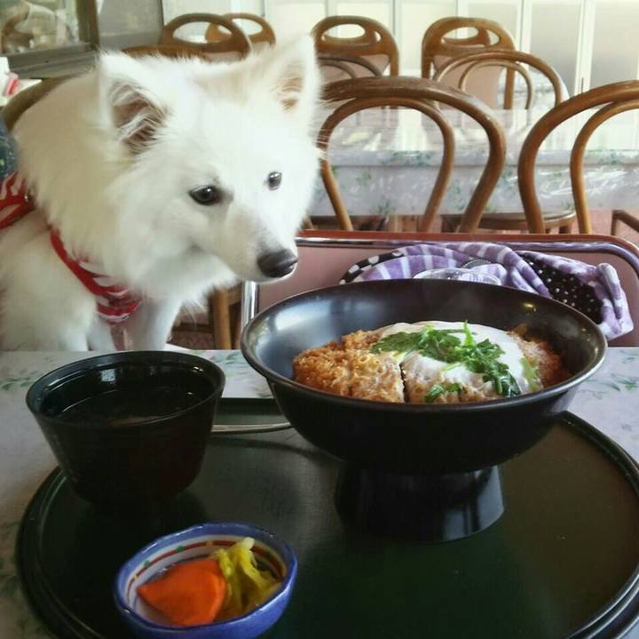 58afafc8 6f1e 4b3e 8873 d2c2c39bf575