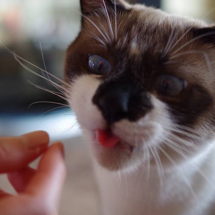 58b00ed2 5b80 4fb0 9931 c4f4eae31833