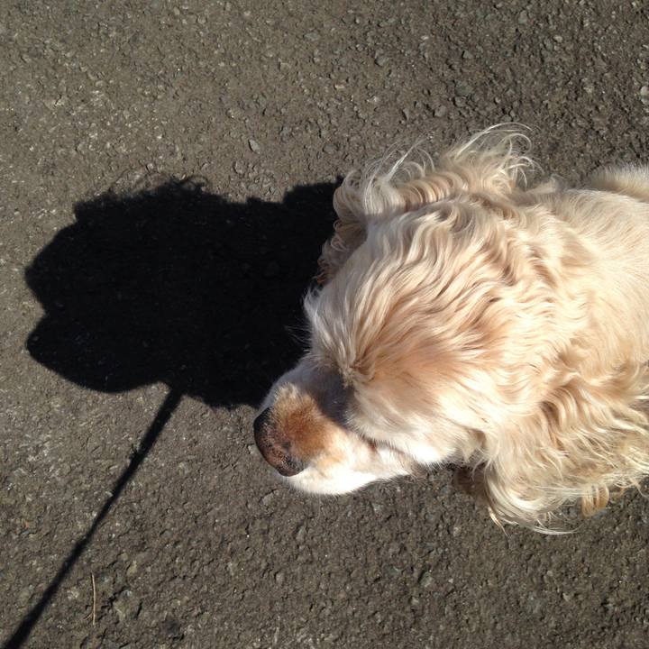 58b04f2f 77ac 49d0 8f7a 57d1d42a9fbd