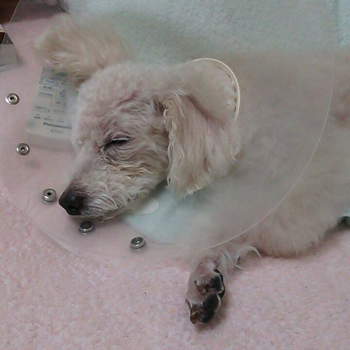 58b058be d47d 4b46 8b05 4147f75e795c