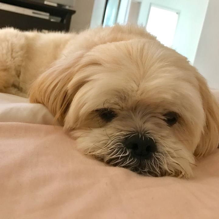 58b13f35 0792 4e48 9556 5cfec7da0de2