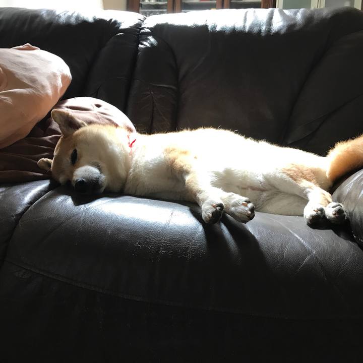 58b17b65 4bc5 4eef 91be f67a12cad1aa