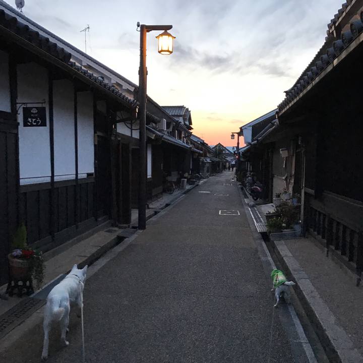 58b1d2a7 3c9f 4572 b7b5 8a7c561731c6