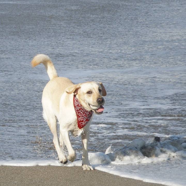 58b419b3 7d0c 4a6f 8705 fa69b7dc7f7f