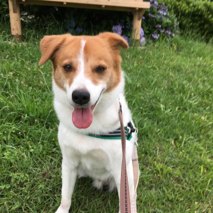 58b45d8e e0f2 4013 828d eeae739e113e