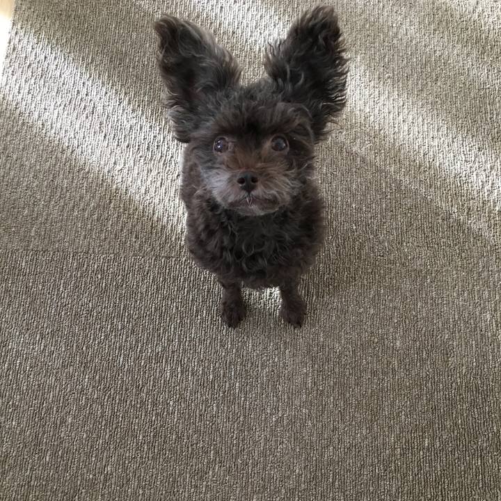 58b46127 d9f4 46e1 86e8 c98751c7e5f5