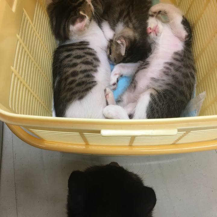 58b48023 03e9 49ba bea5 b4847c70b019