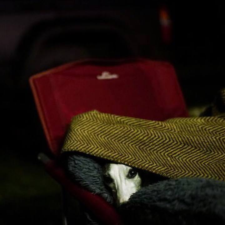 58b4b827 7fd3 4413 9179 80f722ec58e4