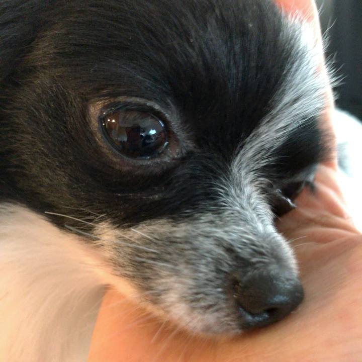 58b4b8f6 67e1 4aac b7c4 3b0afd7466b3