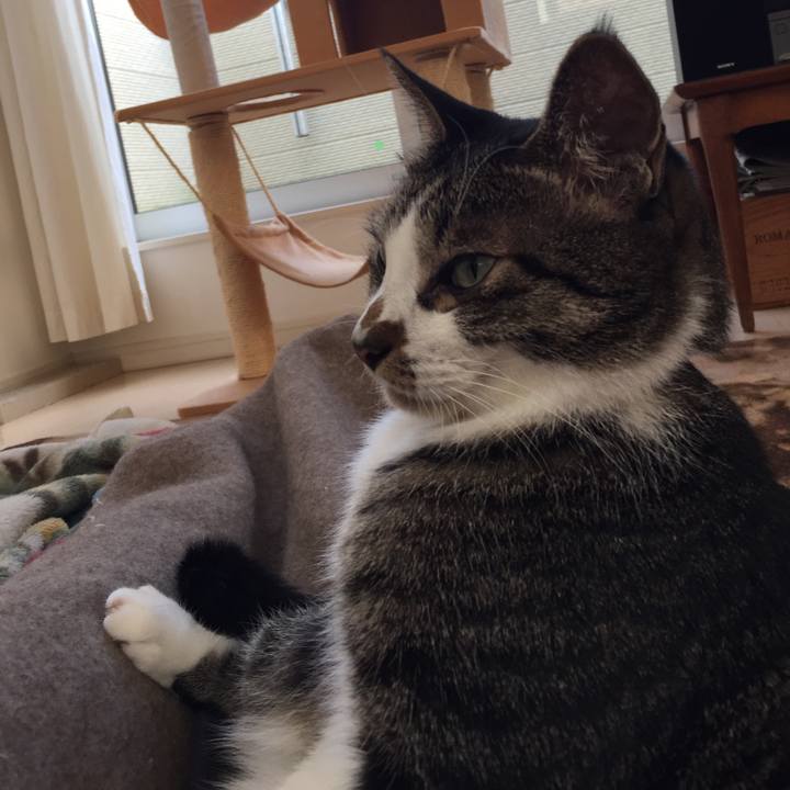 58b5045b e493 4521 979e 236518c43fa8