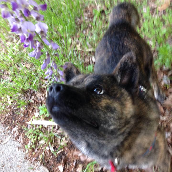 58b50ee6 e97b 40f7 a934 ce77d5e10e16