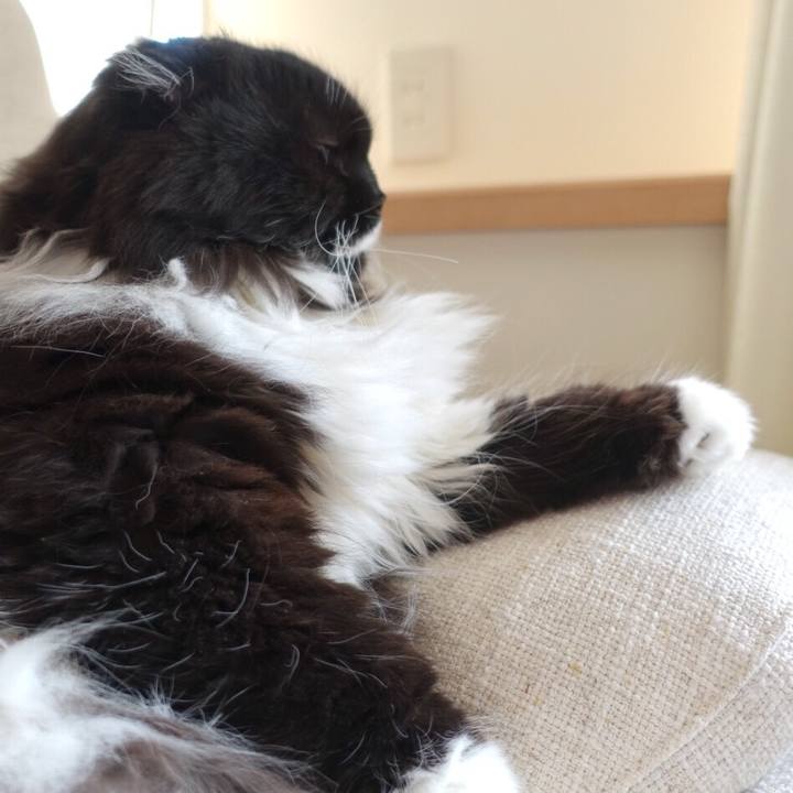 58b569b5 f30c 434e a481 55ce79928ab5