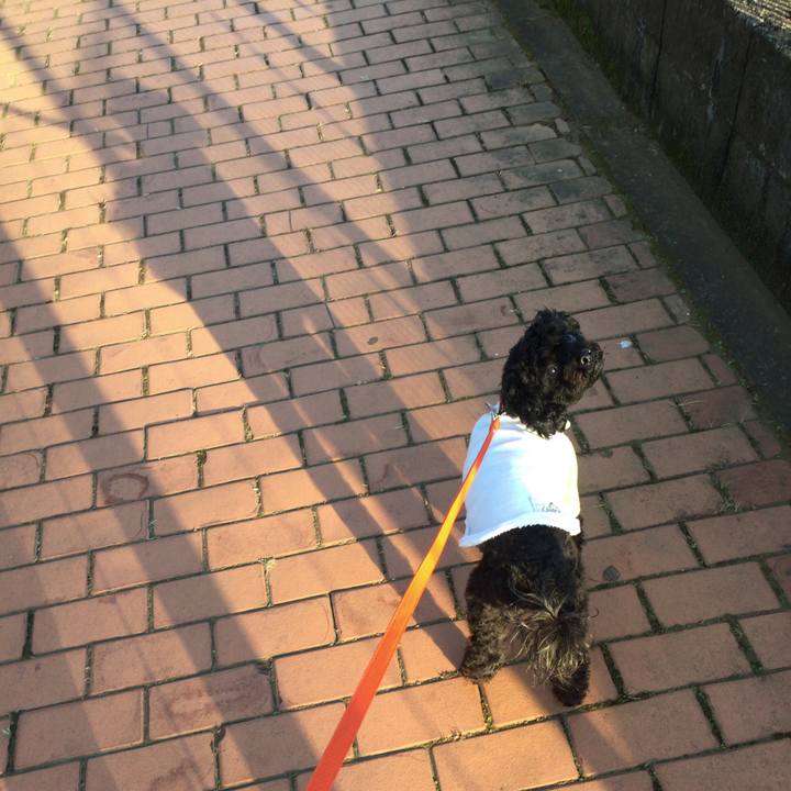 58b67a34 228a 4d3d a410 80970f392cda