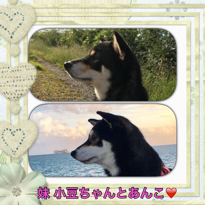 58b6d69d 431a 4b07 af75 212c338d5bde