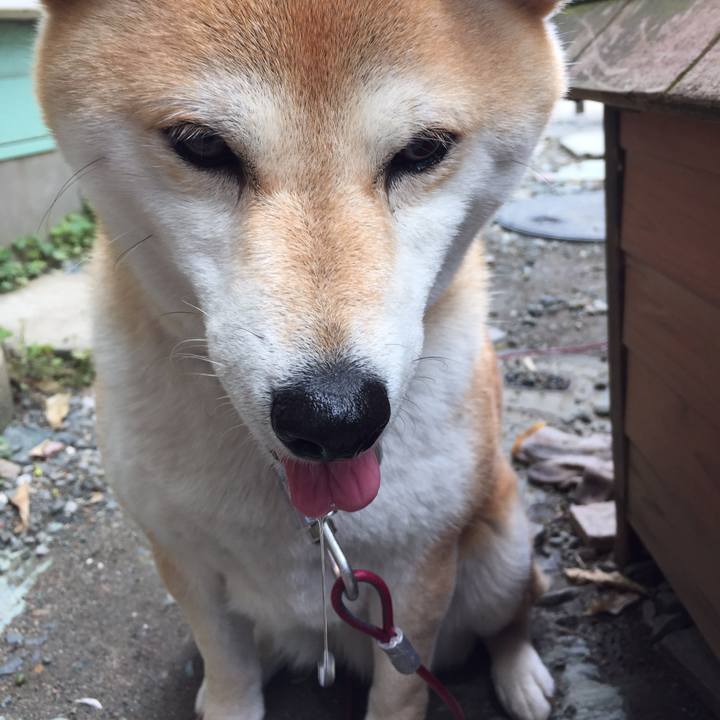 58b71595 e0e1 4d5f 8a59 3fb394b47085