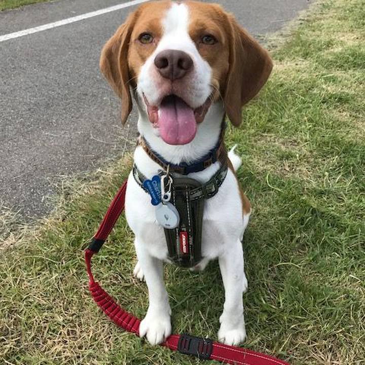 58b84bfe be70 401f ac4e 81460d19308d