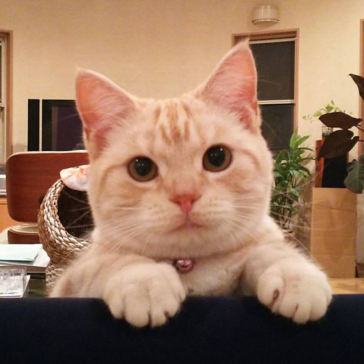 58b85a9d 8aa1 4e07 a84c 0640c61f5be3